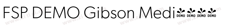 FSP DEMO Gibson Medi字体转换